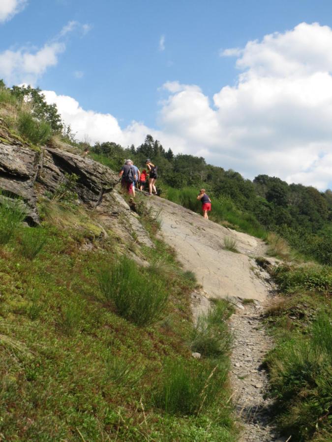 Chez Petit Gust Welkom In La Roche En Ardenne מראה חיצוני תמונה